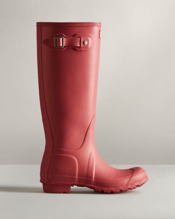 Rose Women's Hunter Original Tall Rain Boots | v8hYo0FN