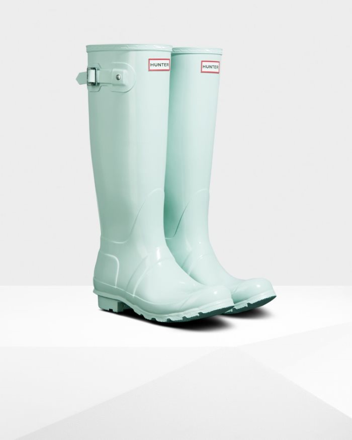 Mint Women's Hunter Original Tall Gloss Rain Boots | 24dvfPd5