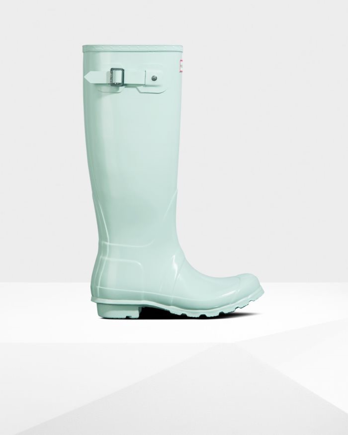 Mint Women\'s Hunter Original Tall Gloss Rain Boots | 24dvfPd5